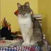 Отзыв от Марина Лукьянова